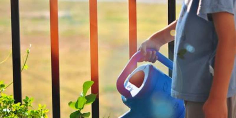 Los niños deben de recibir una buena educación ambiental. Un niño regando las plantas, ejemplo de educación ambiental.