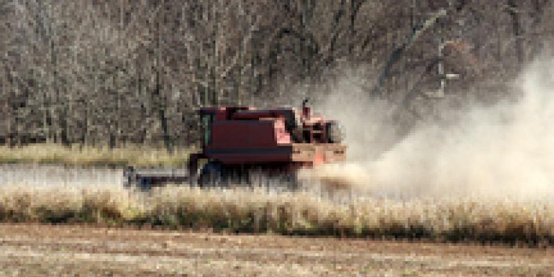 Imagen de un tractor en funcionamiento/envatoelements Elecciones europeas y agricultura