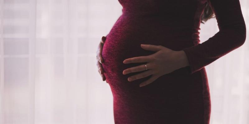 Mujer en un embarazo - Pixabay Mujer en un embarazo