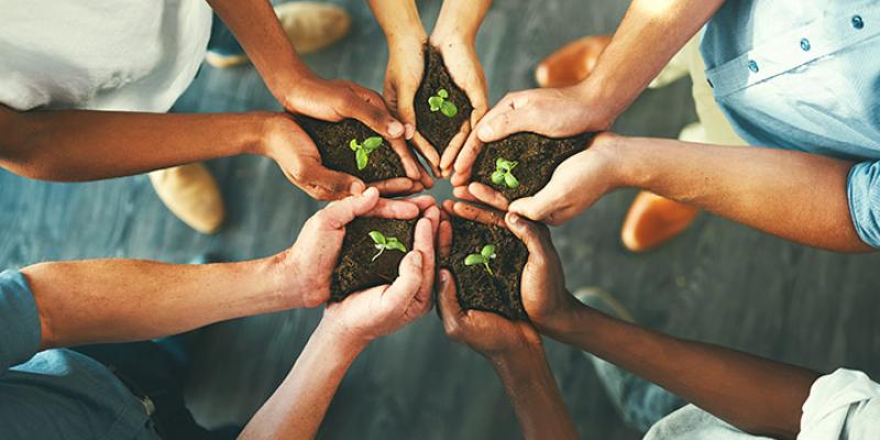 ¿Cómo contribuyen las empresas al cuidado del medio ambiente? Manos de personas sosteniendo arena / Pixabay