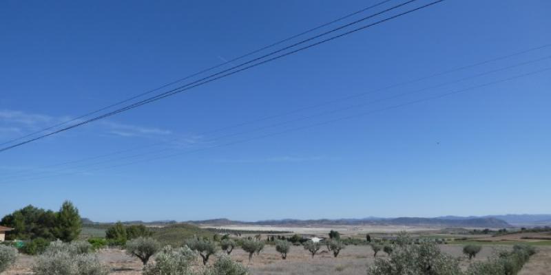 Terreno donde se instalará la planta Lorca energía fotovoltaica| Foto de Maldita.es Terreno donde se instalará la planta Lorca energía fotovoltaica en la Pedanía de La Paca (Murcia)