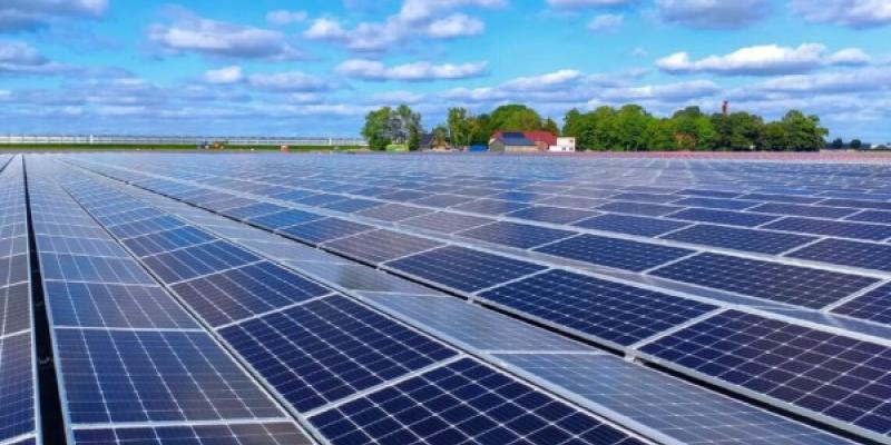Foto: trellis.net Paneles solares