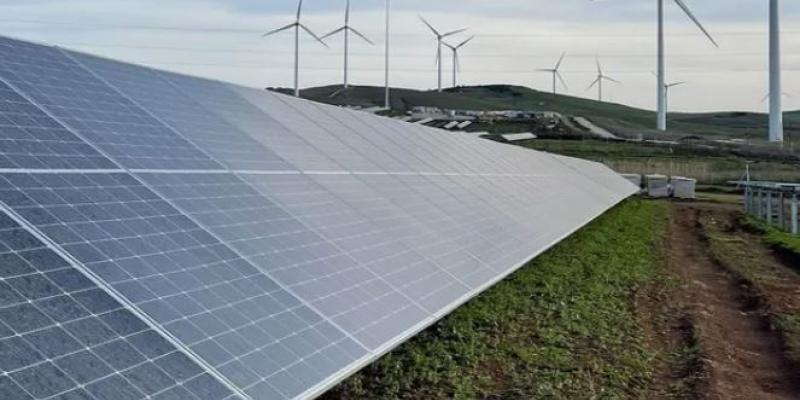 Vista de la planta fotovoltaica Cespedera de Iberdrola en Medina Sidonia (Cádiz)