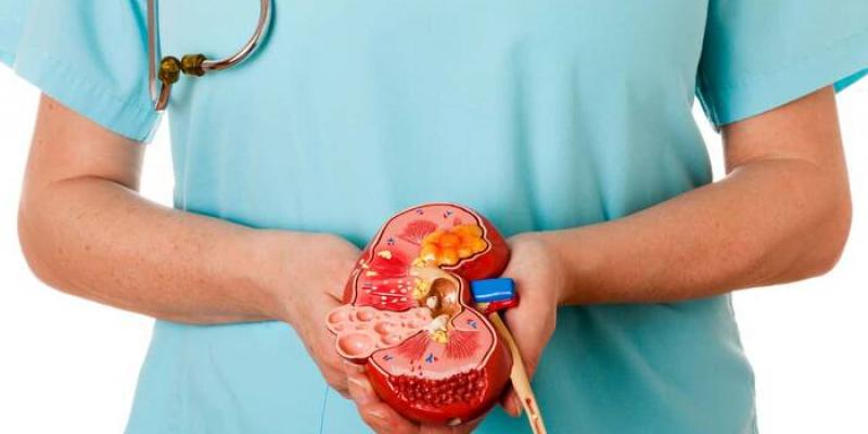 Imagen de un doctor con un riñón/MedsBla Los especialistas colaboran en un programa sobre enfermedades renales