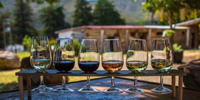 Los retos del enoturismo para 2023 - Pexels El enoturismo en España