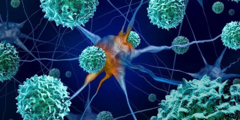 Todo lo que tienes que saber del enterovirus En enterovirus descubierto