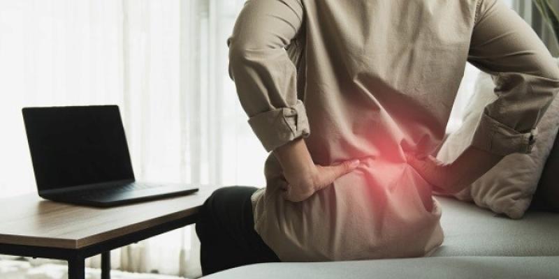El proyecto examina el papel del diafragma en el dolor lumbar | Foto de la UCM El proyecto examina el papel del diafragma en el dolor lumbar
