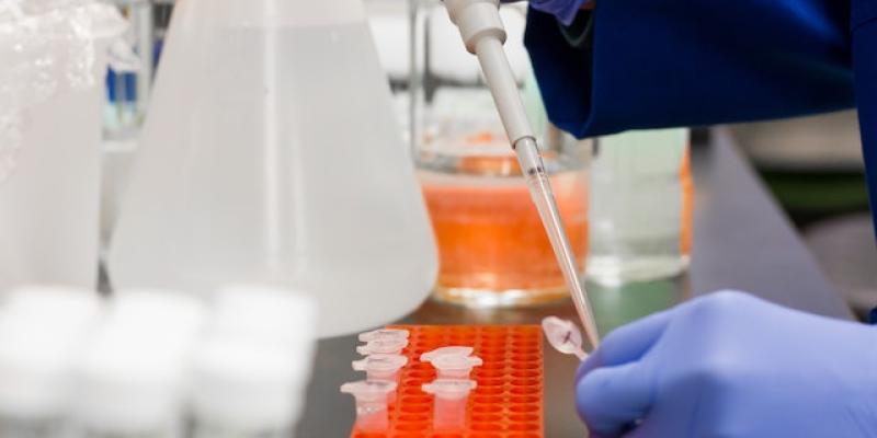 Terapias efectivas para esclerosis múltiple - Pexels La esclerosis múltiple mejor con células madre
