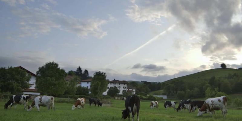 El 27,35 % del territorio de España forma parte de la Red Natura 2000