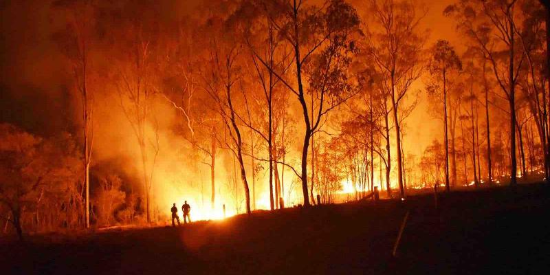 España arde un 57% menos por incendios este verano. España arde un 57% menos este verano
