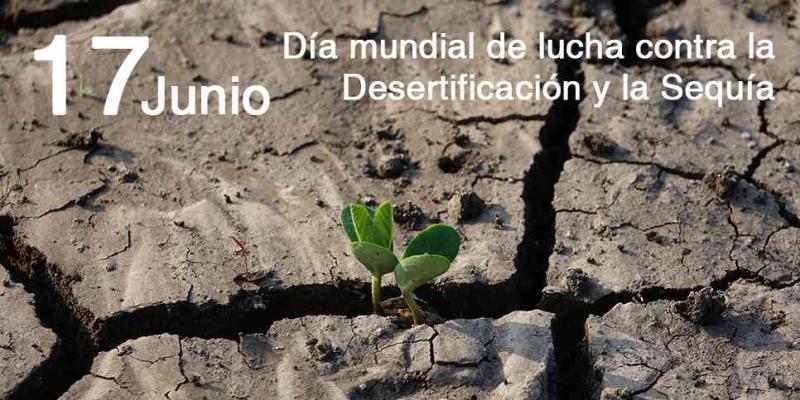 Sequías / Día de la Desertificación y las Sequías Cartel oficial del Día de la Desertificación y las Sequías