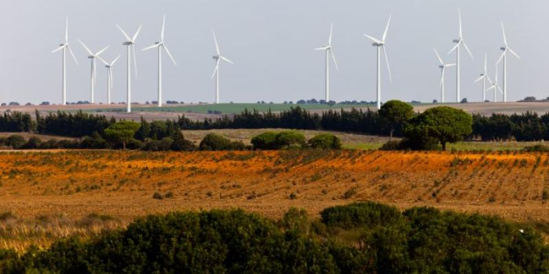 Sostenibilidad - Foto: Envato Elements Molinos de viento