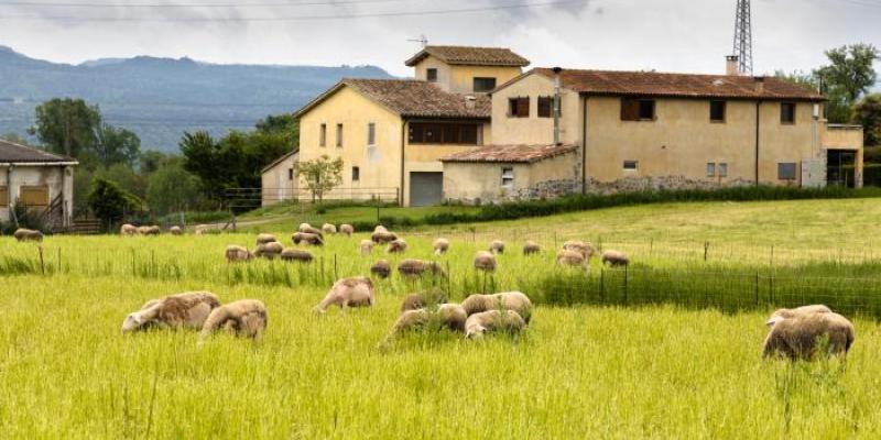 Zona rural | Foto de Fotocasa Una casa y animales en una zona rural