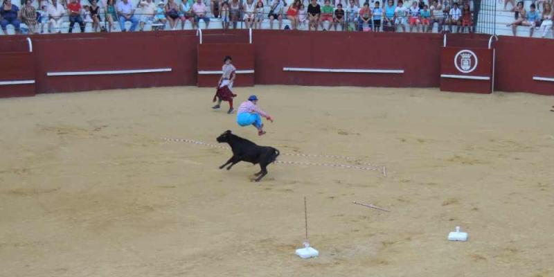 Espectáculo denigrante de bombero torero