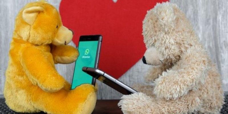 El estado de WhatsApp se reinventa Ositos mirando el estado de WhatsApp