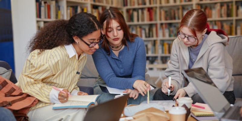 Dualidad en los estudios universitariso españoles