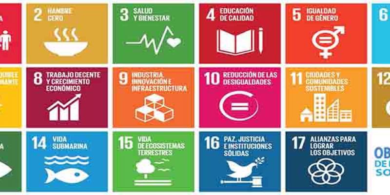 éxito / Oficina Verde Universidad de Zaragoza Las empresas se fijan en los Objetivos de Desarrollo Sostenible