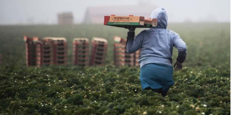 Imagen de una persona inmigrante trabajando/Le Morne Ley de extranjería y regulación