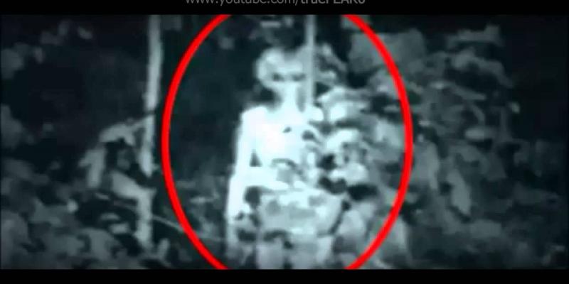 Estados Unidos dedica cada año un presupuesto para
investigar los ovnis. extraterrestres