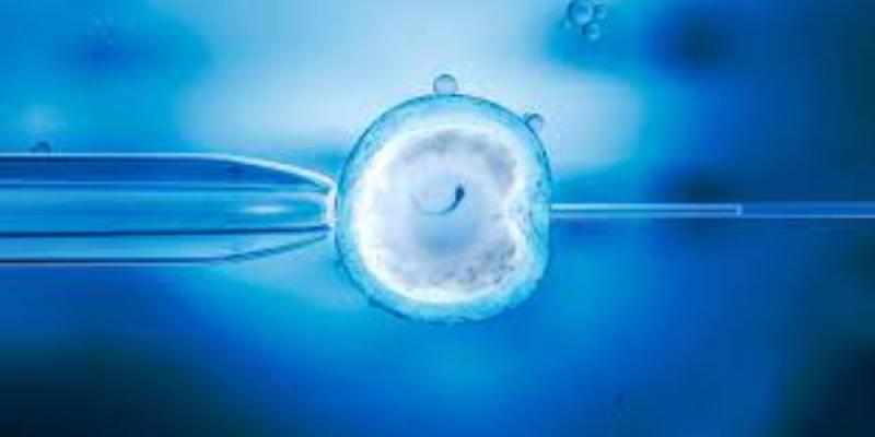 Aumento de la fecundación in vitro Fecundación in vitro