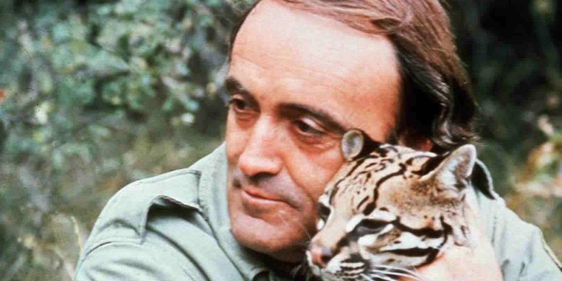 Junto a un ocelote. EFE Felix Rodríguez de la Fuente, durante el rodaje de uno de los documentales de 'El Hombre y la Tierra'