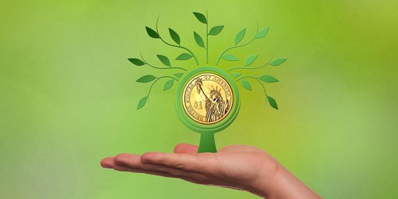 Financiación para el Pacto Mundial - Pixabay Una mano sujeta una moneda de la que crece un árbol