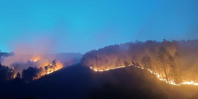 Incendios forestales