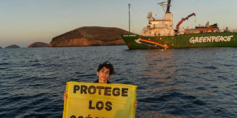 Alba Flores junto con Greenpeace desde una lancha semirrígida, en las Galápagos | Foto de Johis Alarcón/Greenpeace La actriz Alba Flores sostiene una pancarta que dice 'Protege los océanos'