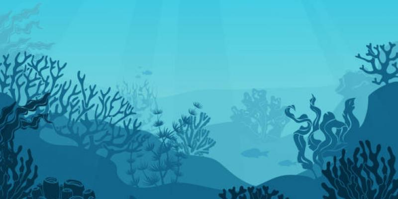 Istock Fondo marino