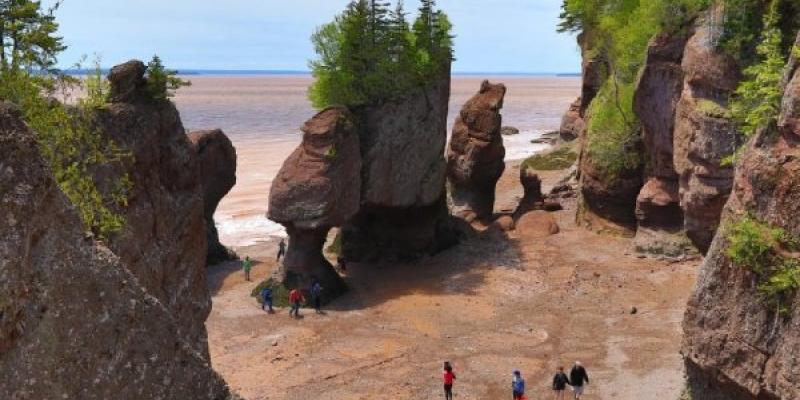 Playa de Canadá donde puedes encontrar muchos fósiles