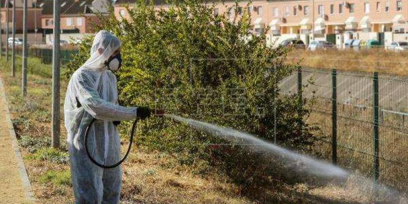 La fumigación de Doñana puede causar daños en los ecosistemas. Foto: EFE Fumigación en Doñana