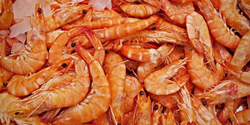 Gamba roja fresca / Pixabay Gamba roja