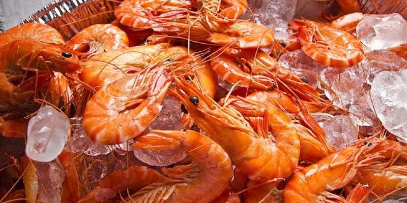 Comer las cabezas de las gambas puede ser perjudicial Una fuentes de gambas con hielo. Foto de Pixabay