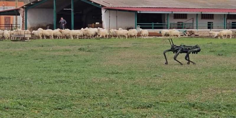 Imagen del aparato para el pastoreo/Diario Veterinario Tecnología para el pastoreo