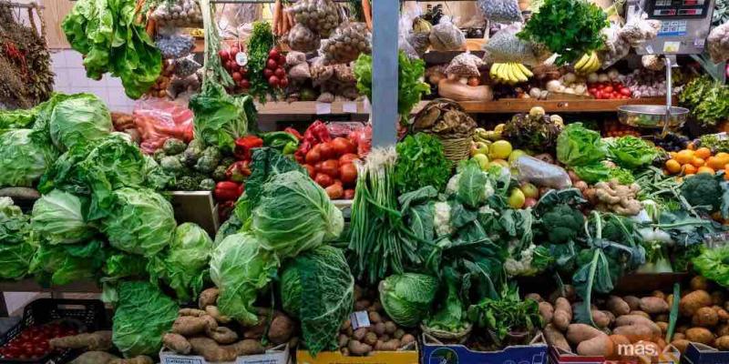 Las 10 recomendaciones para que sigas una dieta sostenible. Las 10 recomendaciones para que te comprometas con la gastronomía sostenible.