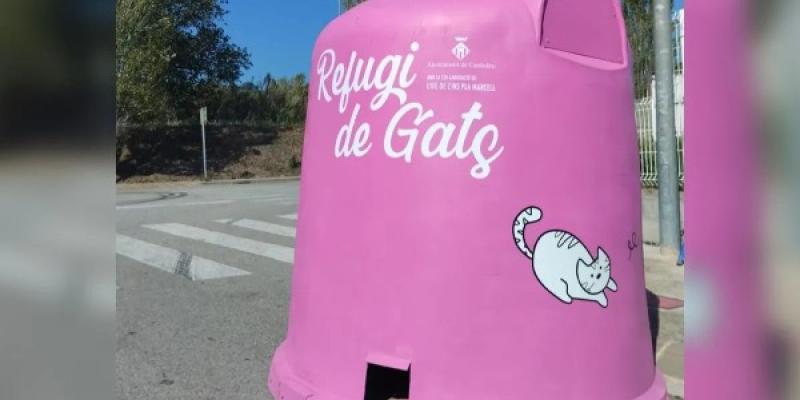 Nuevos refugios para atender a gatos callejeros en Cardedeu, Barcelona