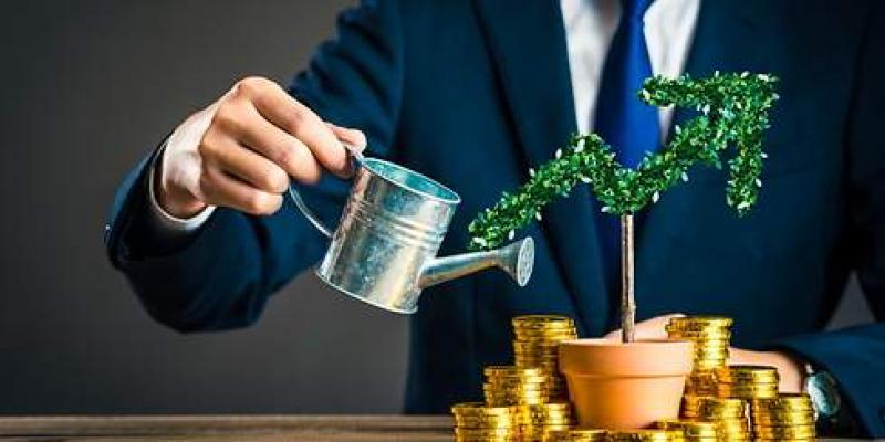 Inversiones / Pixabay Empresario regando una planta de dinero