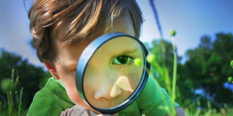 Gente peculiar / Pixabay Niño con una lupa