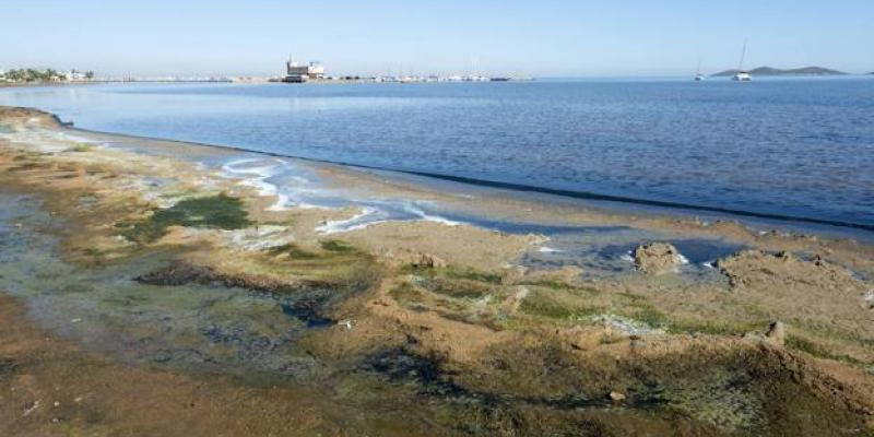 El Mar Menor, en la zona de Los Urrutias, en una foto reciente. / ANTONIO GIL / AGM