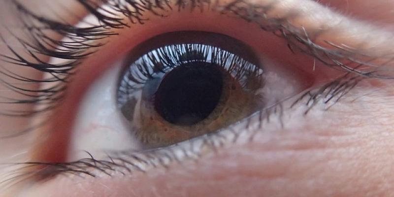 Ojo, glaucoma / Pixabay Ojo