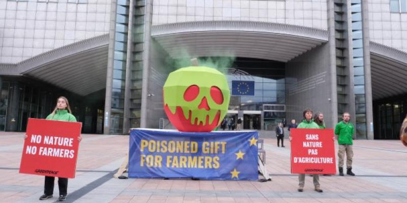 Greenpeace protesta contra la PAC frente al Parlamento Europeo Así ha sido la protesta de Greenpeace contra la PAC