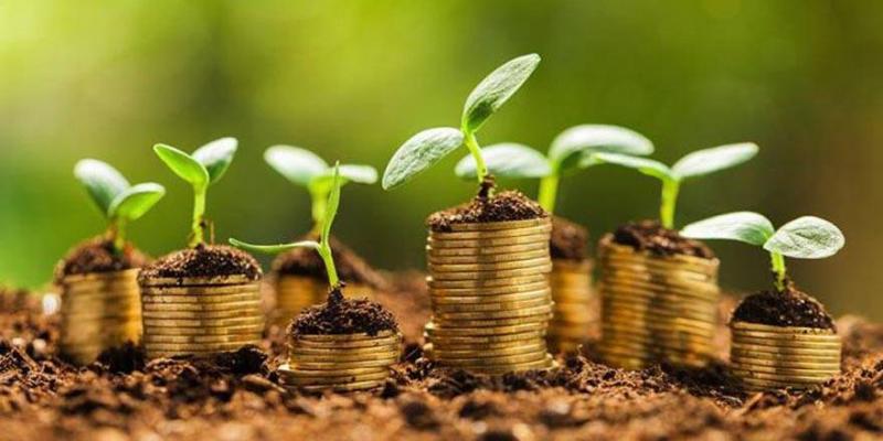 Plantas creciendo en dinero / Pixabay