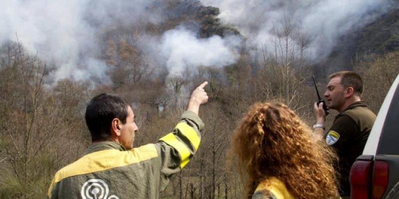 Los guardias forestales cuidan de los bosques