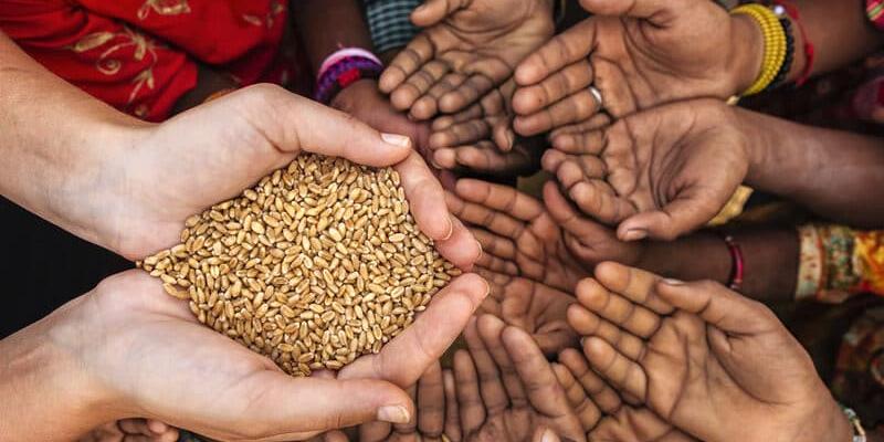 Imagen de semillas en unas manos/101 Noticias El conflicto de Ucrania podría provocar disturbios por alimentos en los países pobres