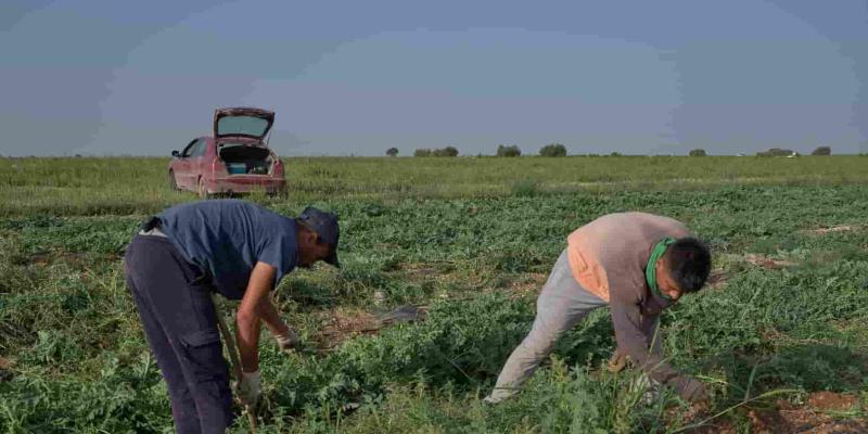 Imagen de dos agricultores/Lainformacion.com BBVA lanza presupuestos para ayudar a los agricultores