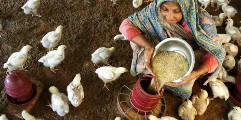 ODS 2. Hambre cero, lograr la seguridad alimentaria y la mejora de la nutrición ODS 2. Hambre cero
