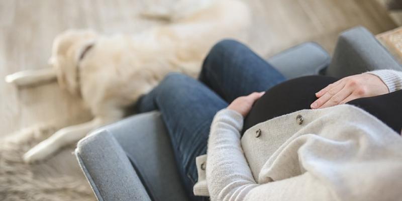 Mujer embarazada descansando en el sofá / Pixabay Mujer embarazada descansando en el sofá