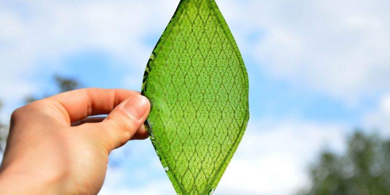 Llegan las hojas artificiales que generan oxígeno Hojas artificiales que generan oxígeno.