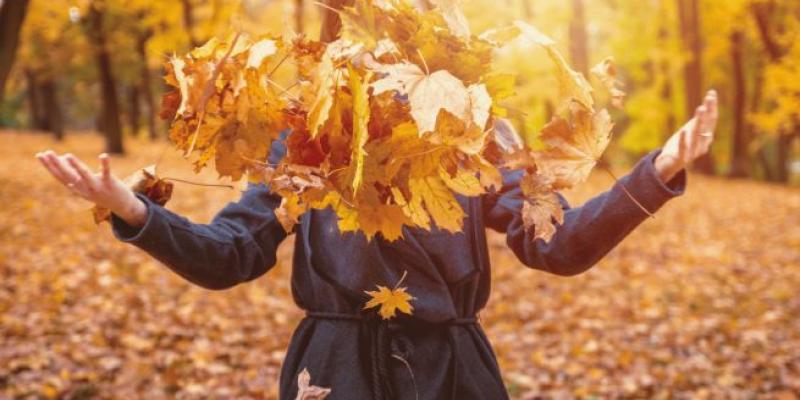 Las hojas de otoño, es mejor dejarlas donde están