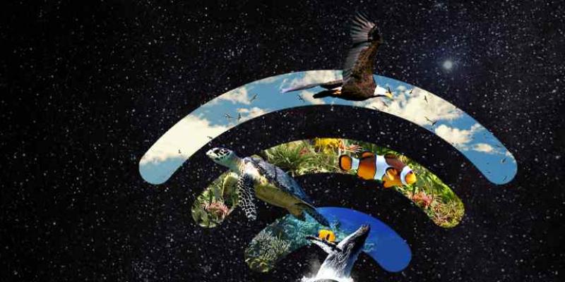 Hora del Planeta Cartel Hora del Planeta 2021
